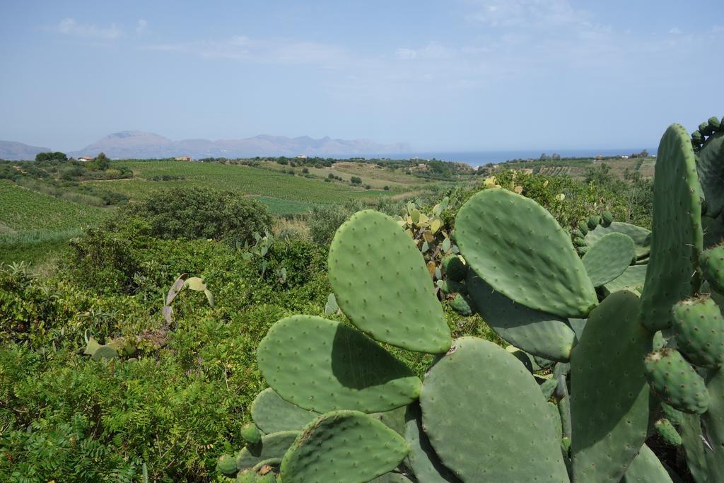 Casamatta Сasa de vacaciones Trappeto (Sicily)